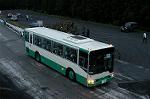 Dcim1175/DSC_1235