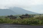 Dcim1175/DSC_1260