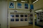 Dcim1181/DSC_9688