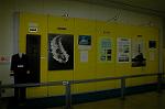 Dcim1182/DSC_9764