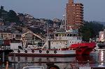 Dcim1189/DSC_1915