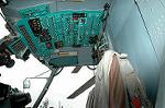 Dcim1193/DSC_0950