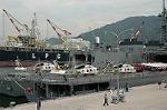 Dcim1193/DSC_1011