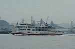 Dcim1195/DSC_1951