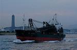 Dcim1207/DSC_2462