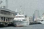Dcim1239/DSC_4258