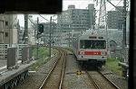 Dcim1241/DSC_4155