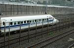 Dcim1241/DSC_4162