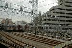 Dcim1248/DSC_5297
