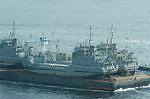 Dcim1260/DSC_4436