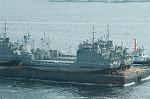 Dcim1260/DSC_4439