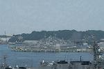 Dcim1261/DSC_4477