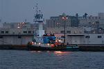 Dcim1262/DSC_4540