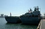 Dcim1295/DSC_8653