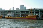 Dcim1296/DSC_8781