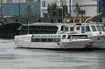Dcim1304/DSC_6074