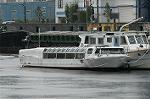 Dcim1304/DSC_6075