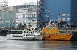 Dcim1304/DSC_6077