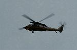 Dcim1322/DSC_6312