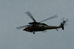 Dcim1322/DSC_6313