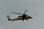 Dcim1322/DSC_6342