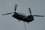 Dcim1323/DSC_6483