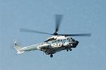 Dcim1329/DSC_0569