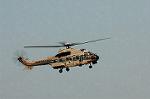 Dcim1329/DSC_0687