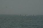 Dcim1332/DSC_6982