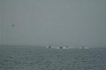 Dcim1332/DSC_6983