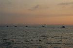 Dcim1332/DSC_7038