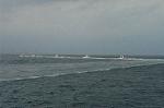 Dcim1332/DSC_7040