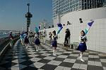 Dcim1333/DSC_0943