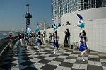 Dcim1333/DSC_0944