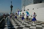 Dcim1333/DSC_0945