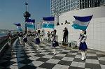 Dcim1333/DSC_0946