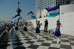 Dcim1333/DSC_0948
