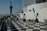Dcim1333/DSC_0962