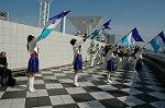 Dcim1334/DSC_0996