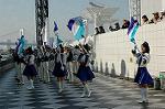 Dcim1334/DSC_1029