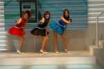 Dcim1352/DSC_2221
