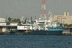 Dcim1373/Dsc_3692