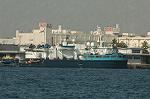 Dcim1373/DSC_3697