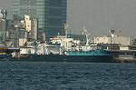 Dcim1373/DSC_3699
