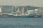 Dcim1373/DSC_3735