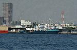 Dcim1374/DSC_8375