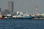 Dcim1374/DSC_8377
