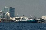 Dcim1374/DSC_8380