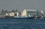 Dcim1374/DSC_8383