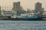 Dcim1374/DSC_8462